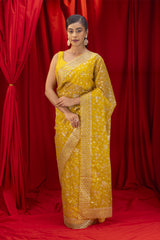 Gadwal handloom silk saree