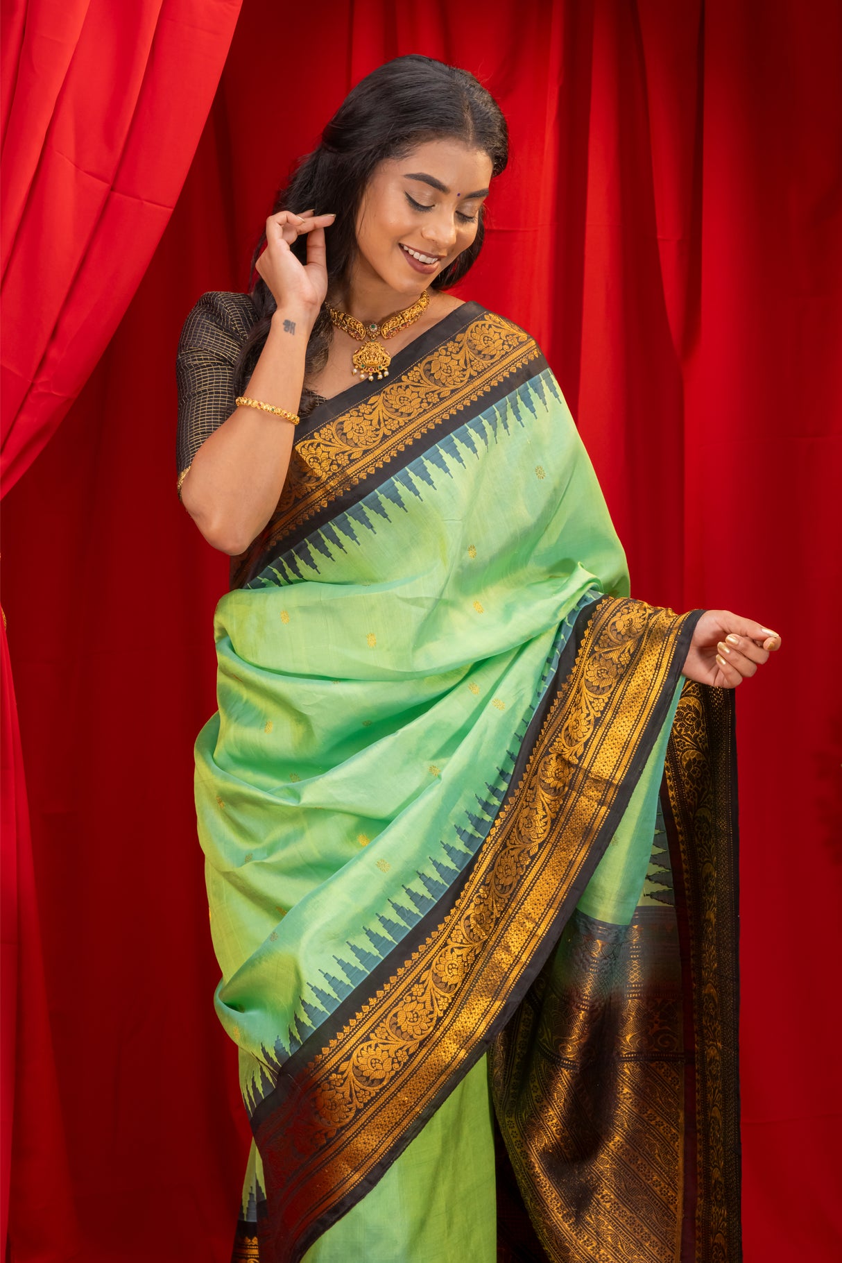 Gadwal Handloom Pure Silk Saree