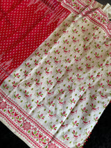 Ikkat with digital print border Pure Silk Handloom