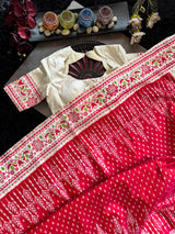 Ikkat with digital print border Pure Silk Handloom