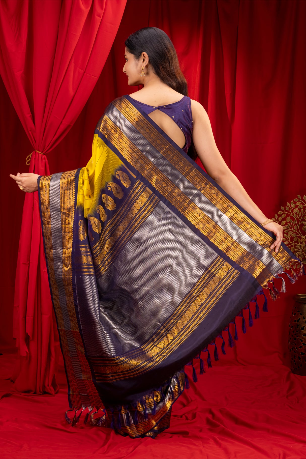 Gadwal Handloom Pure Silk Saree