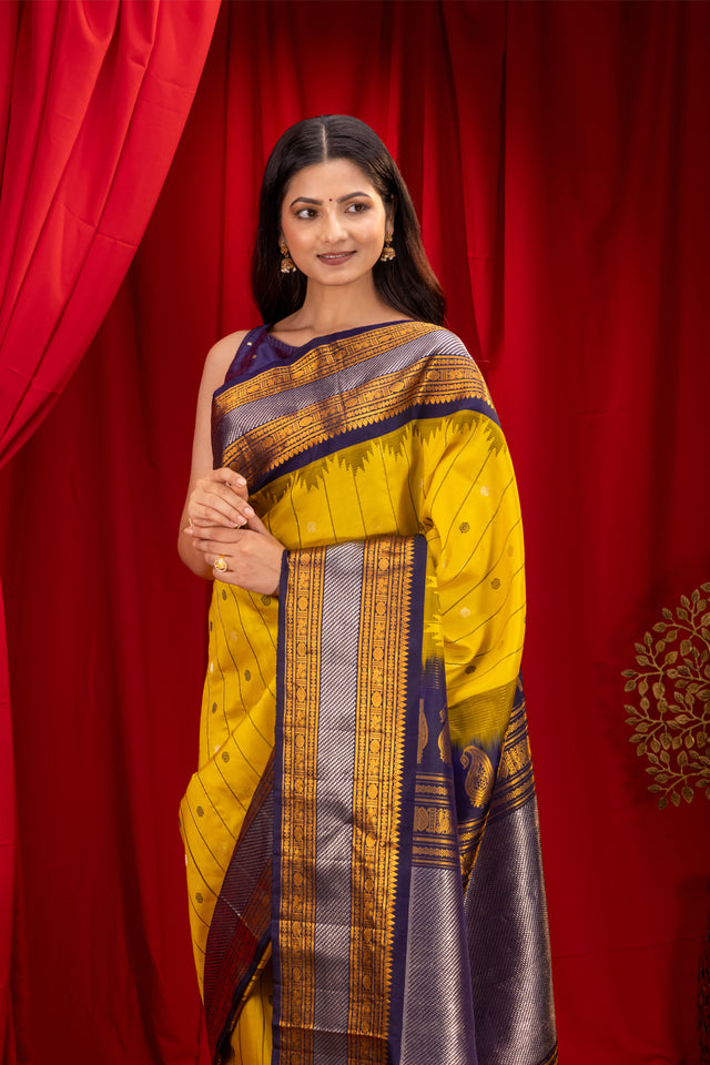 Gadwal Handloom Pure Silk Saree