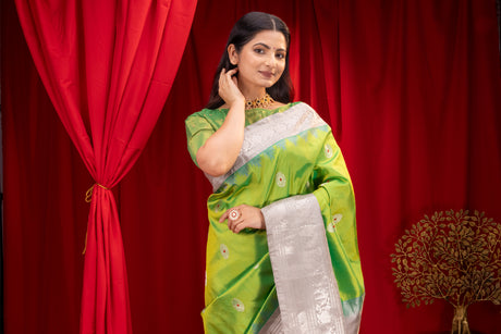 Gadwal Handloom Pure Silk Saree