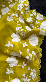 Soft Chartreuse Organza With Applique
