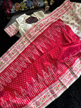 Ikkat with digital print border Pure Silk Handloom