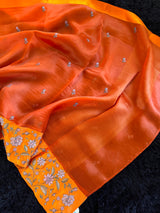 Rust Orange Organza With Embroidered border and Embroidered Blouse