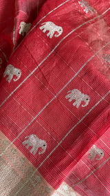 Chanderi Pattu Tissue Pinstripes Eknaliya Meenadari Elephant Motifs Gajar Color