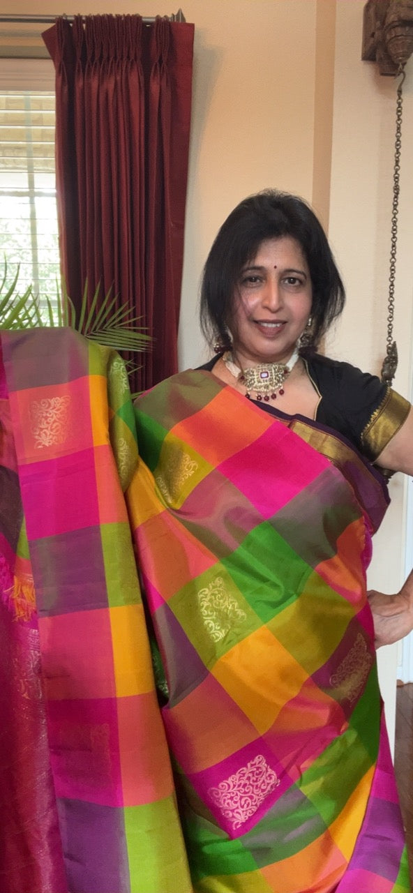 Multi Colored Checks Kanchipuram Pure Silk korvai Saree